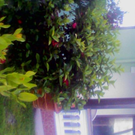 Maison Belle Baie เบเซนต์แอนน์ ภายนอก รูปภาพ