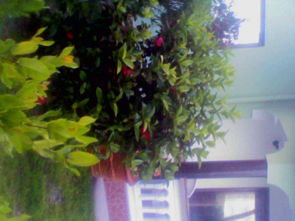 Maison Belle Baie เบเซนต์แอนน์ ภายนอก รูปภาพ